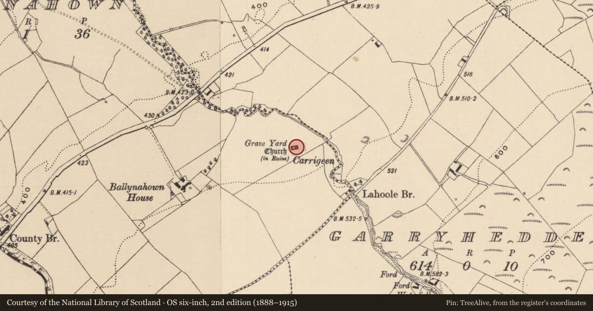 Ordnance Survey six-inch map, 2nd edition (1888–1915) covering the location of Cross-slab, Ballynahown, County Laois, with a pin at the register's coordinates