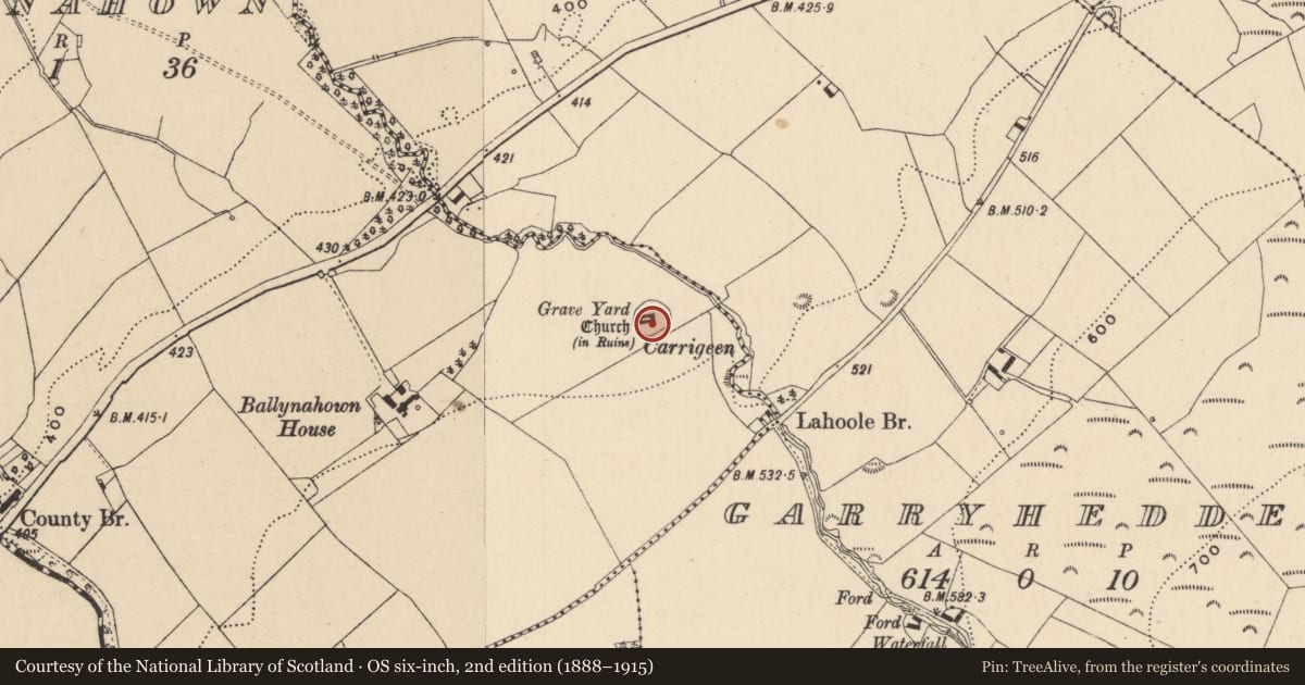 Ordnance Survey six-inch map, 2nd edition (1888–1915) covering the location of Cross-slab, Ballynahown, County Laois, with a pin at the register's coordinates
