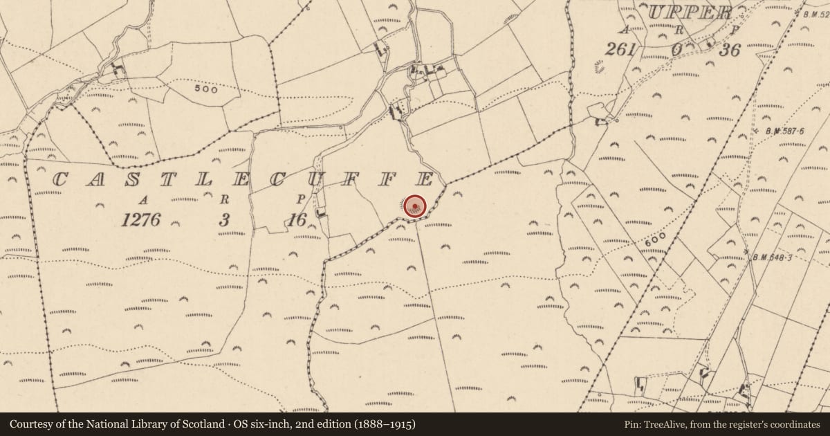 Ordnance Survey six-inch map, 2nd edition (1888–1915) covering the location of Enclosure, Castlecuffe, County Laois, with a pin at the register's coordinates