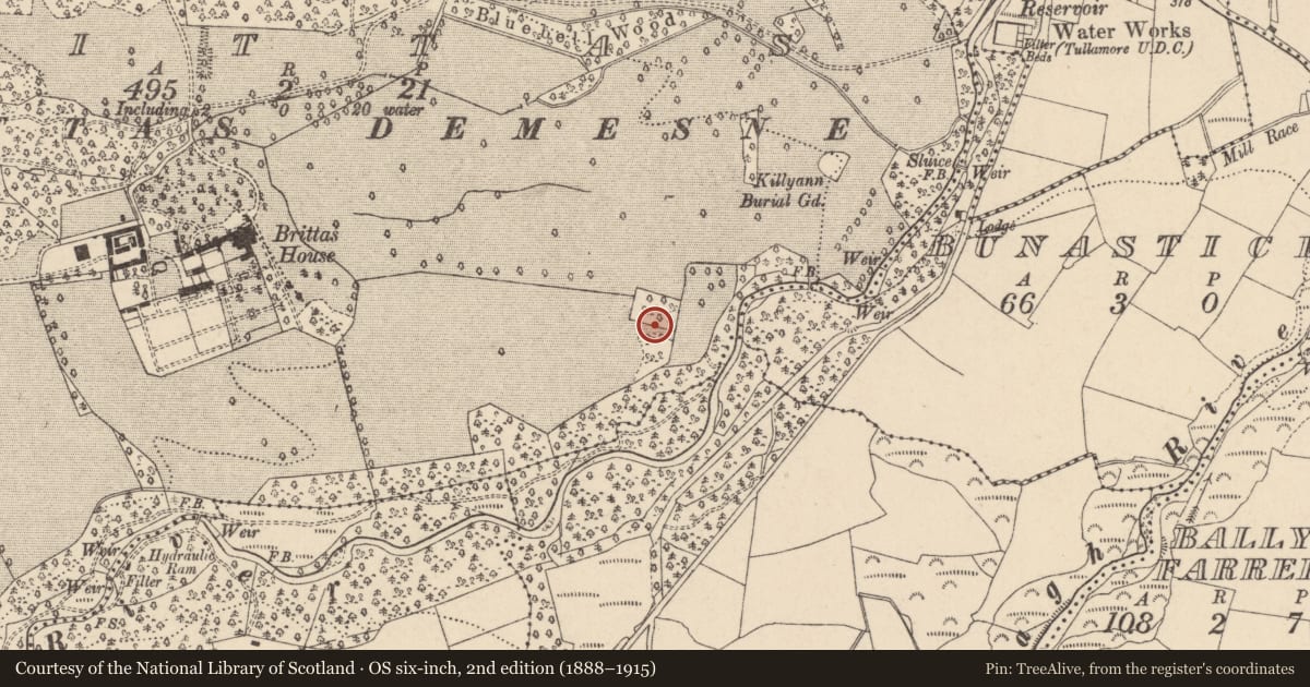 Ordnance Survey six-inch map, 2nd edition (1888–1915) covering the location of Designed landscape feature, Brittas, County Laois, with a pin at the register's coordinates