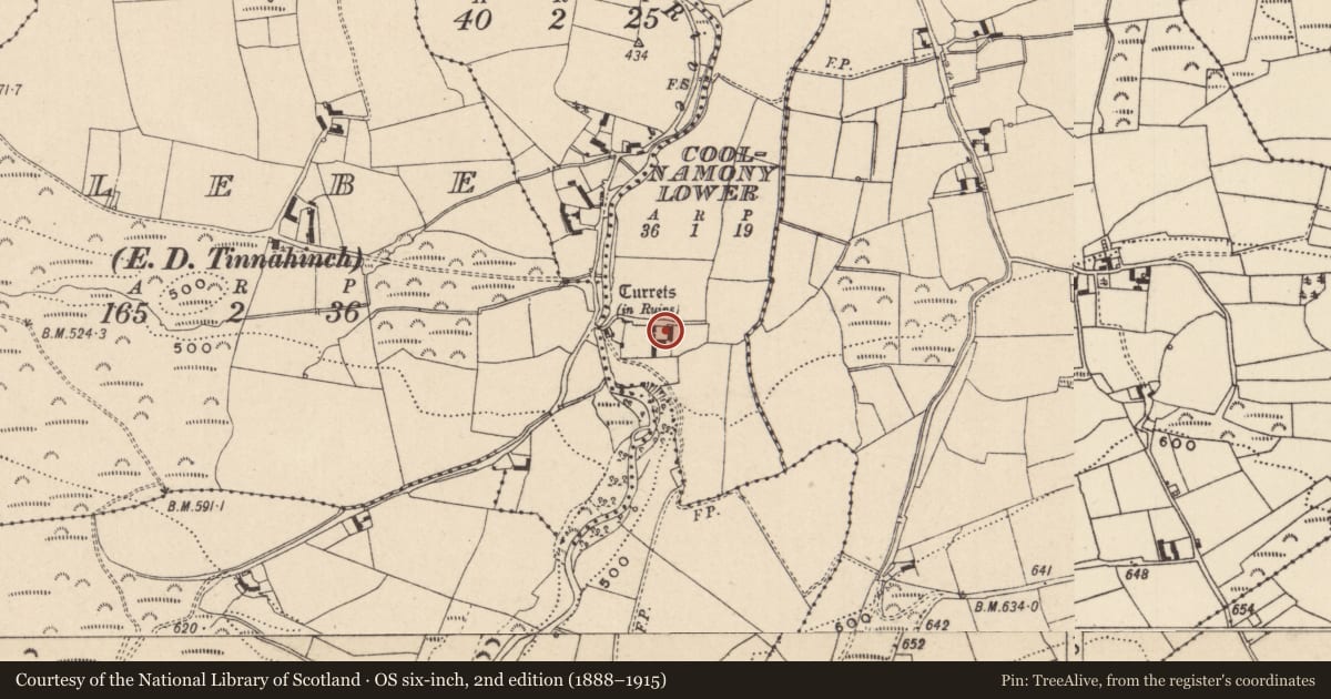 Ordnance Survey six-inch map, 2nd edition (1888–1915) covering the location of House - medieval, Coolnamony Lower, County Laois, with a pin at the register's coordinates