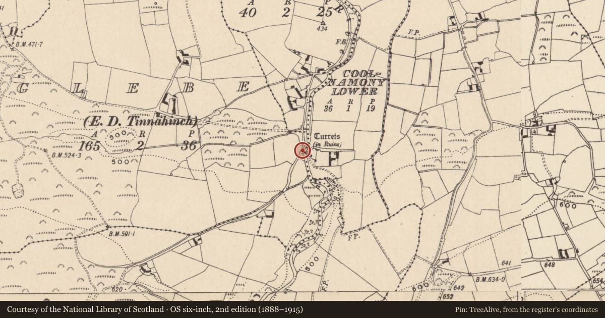Ordnance Survey six-inch map, 2nd edition (1888–1915) covering the location of Bridge, Coolnamony Lower, County Laois, with a pin at the register's coordinates