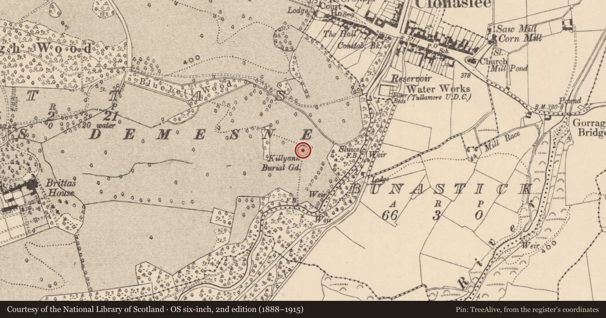 Ordnance Survey six-inch map, 2nd edition (1888–1915) covering the location of Children's burial ground, Brittas, County Laois, with a pin at the register's coordinates