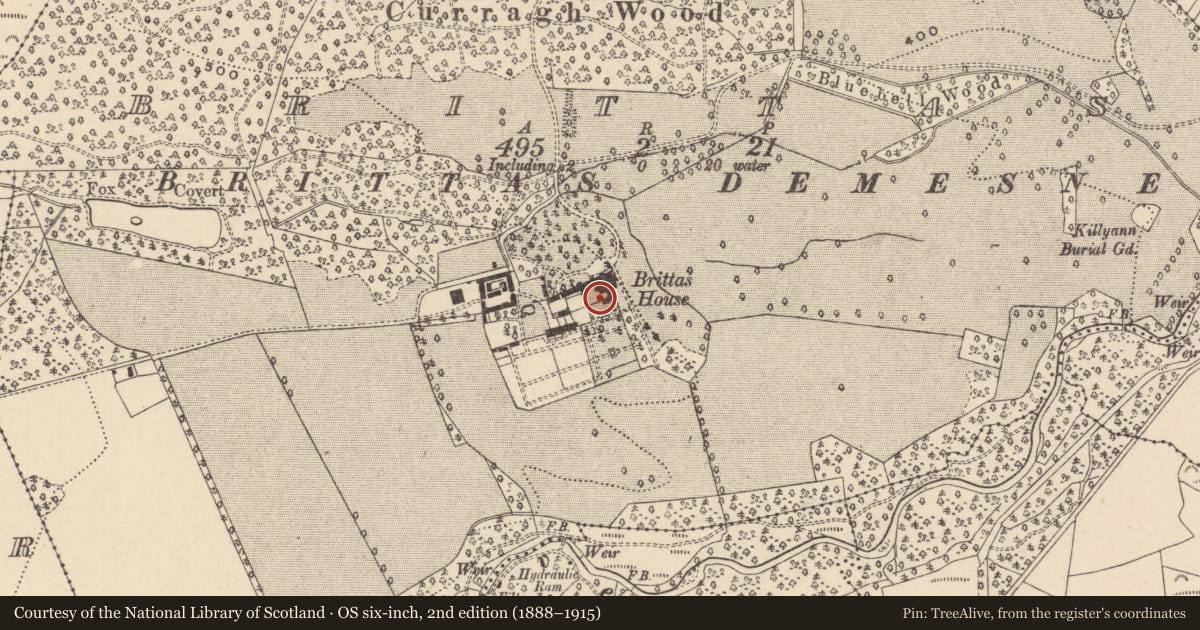 Ordnance Survey six-inch map, 2nd edition (1888–1915) covering the location of House - 17th century, Brittas, County Laois, with a pin at the register's coordinates