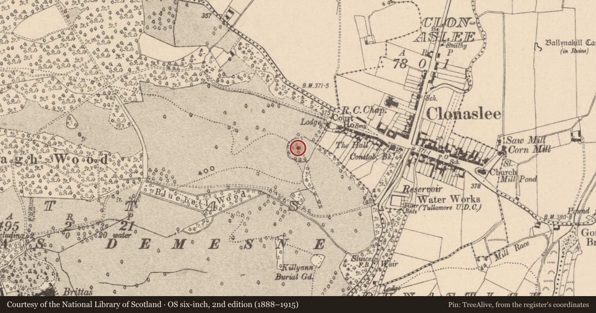 Ordnance Survey six-inch map, 2nd edition (1888–1915) covering the location of Designed landscape - tree-ring, Brittas, County Laois, with a pin at the register's coordinates