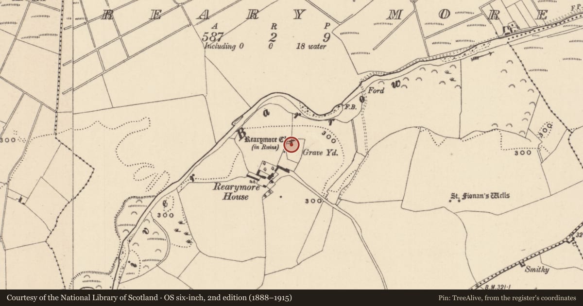 Ordnance Survey six-inch map, 2nd edition (1888–1915) covering the location of Graveyard, Reary More, County Laois, with a pin at the register's coordinates