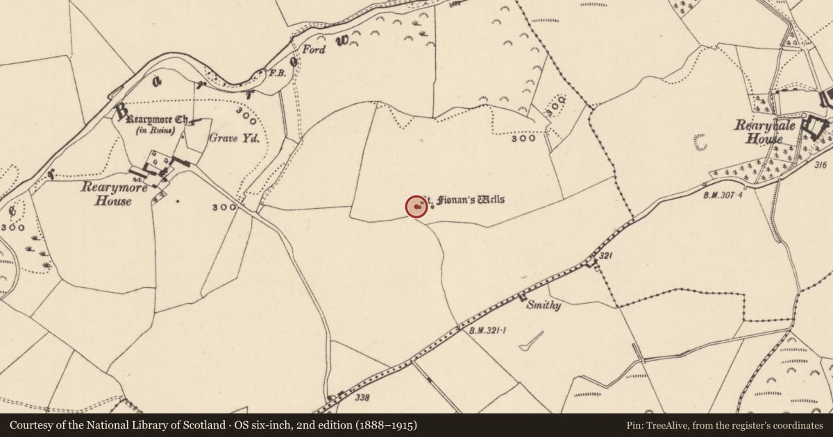 Ordnance Survey six-inch map, 2nd edition (1888–1915) covering the location of Bullaun stone, Reary More, County Laois, with a pin at the register's coordinates