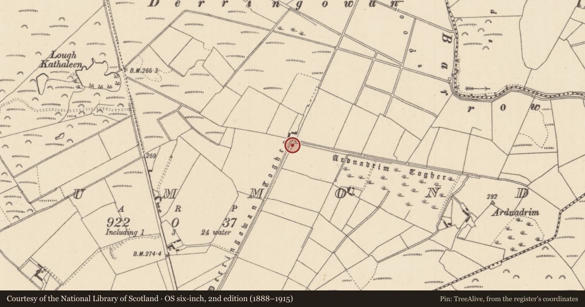 Ordnance Survey six-inch map, 2nd edition (1888–1915) covering the location of Road - unclassified togher, Drummond, County Laois, with a pin at the register's coordinates