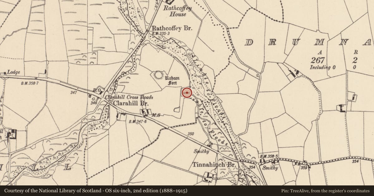 Ordnance Survey six-inch map, 2nd edition (1888–1915) covering the location of Moated site, Rathcoffey, County Laois, with a pin at the register's coordinates