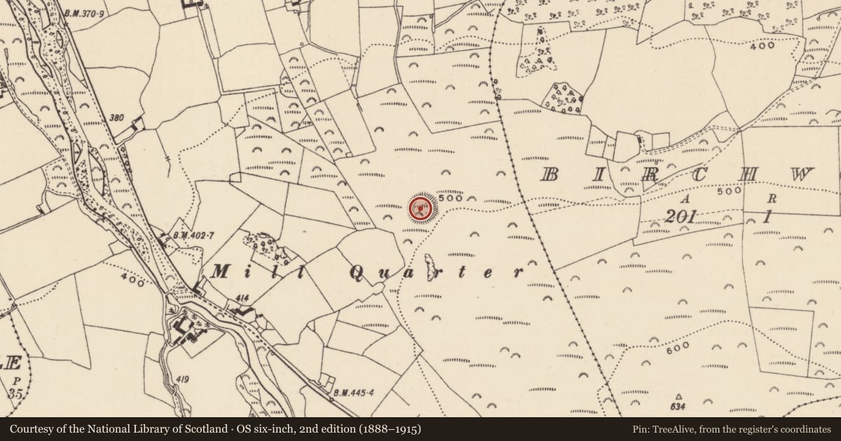 Ordnance Survey six-inch map, 2nd edition (1888–1915) covering the location of Ringfort - cashel, Tinnahinch, County Laois, with a pin at the register's coordinates