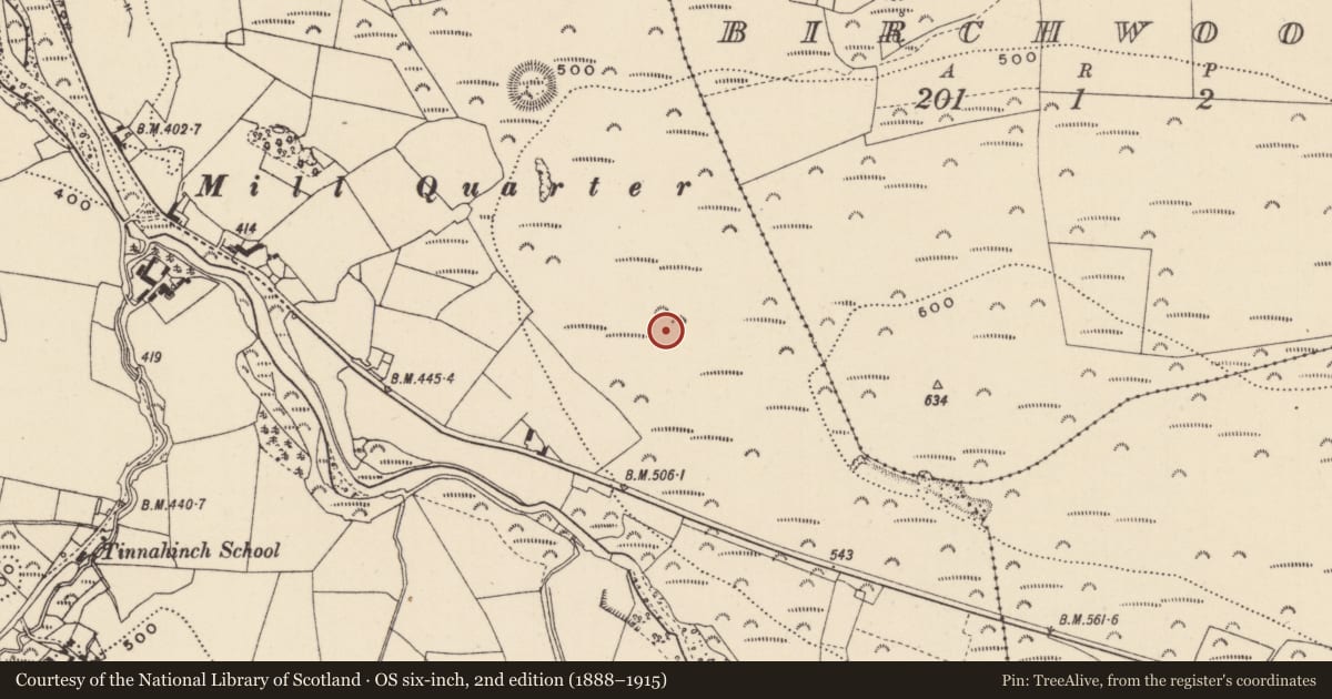 Ordnance Survey six-inch map, 2nd edition (1888–1915) covering the location of Ringfort - cashel, Tinnahinch, County Laois, with a pin at the register's coordinates