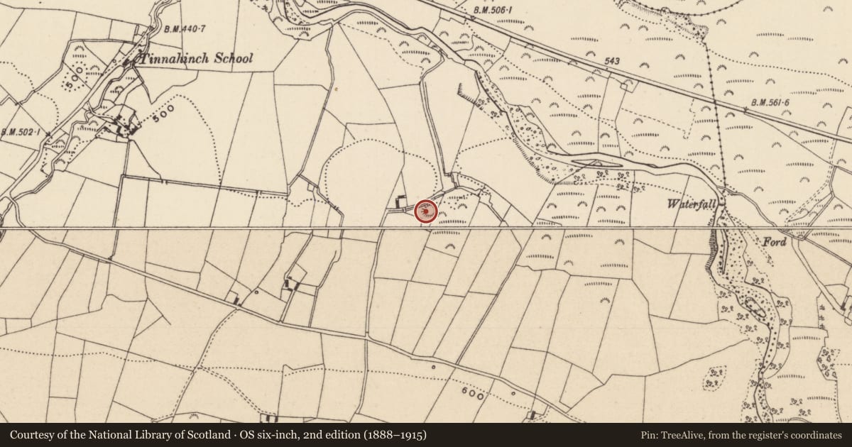 Ordnance Survey six-inch map, 2nd edition (1888–1915) covering the location of Ringfort - rath, Tinnahinch, County Laois, with a pin at the register's coordinates