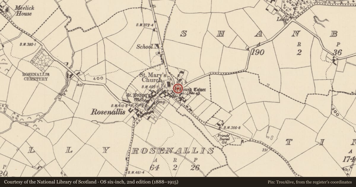 Ordnance Survey six-inch map, 2nd edition (1888–1915) covering the location of Round tower, Rosenallis, County Laois, with a pin at the register's coordinates
