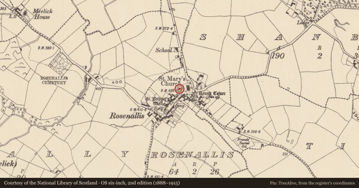 Ordnance Survey six-inch map, 2nd edition (1888–1915) covering the location of Cross-slab, Rosenallis, County Laois, with a pin at the register's coordinates