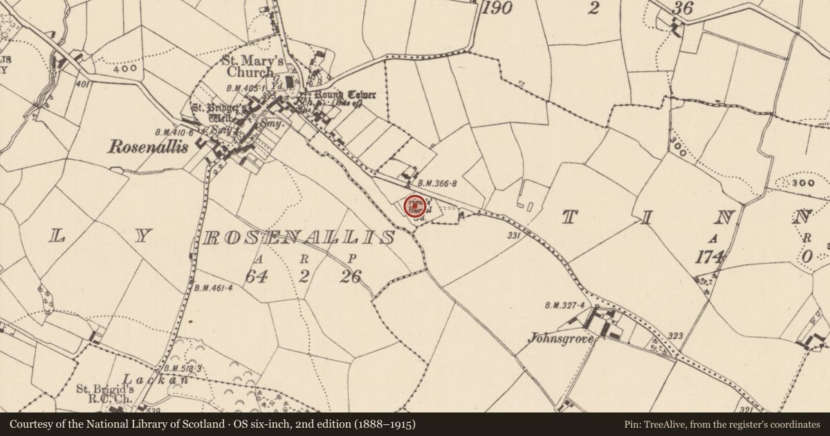 Ordnance Survey six-inch map, 2nd edition (1888–1915) covering the location of Burial ground, Tinneel, County Laois, with a pin at the register's coordinates