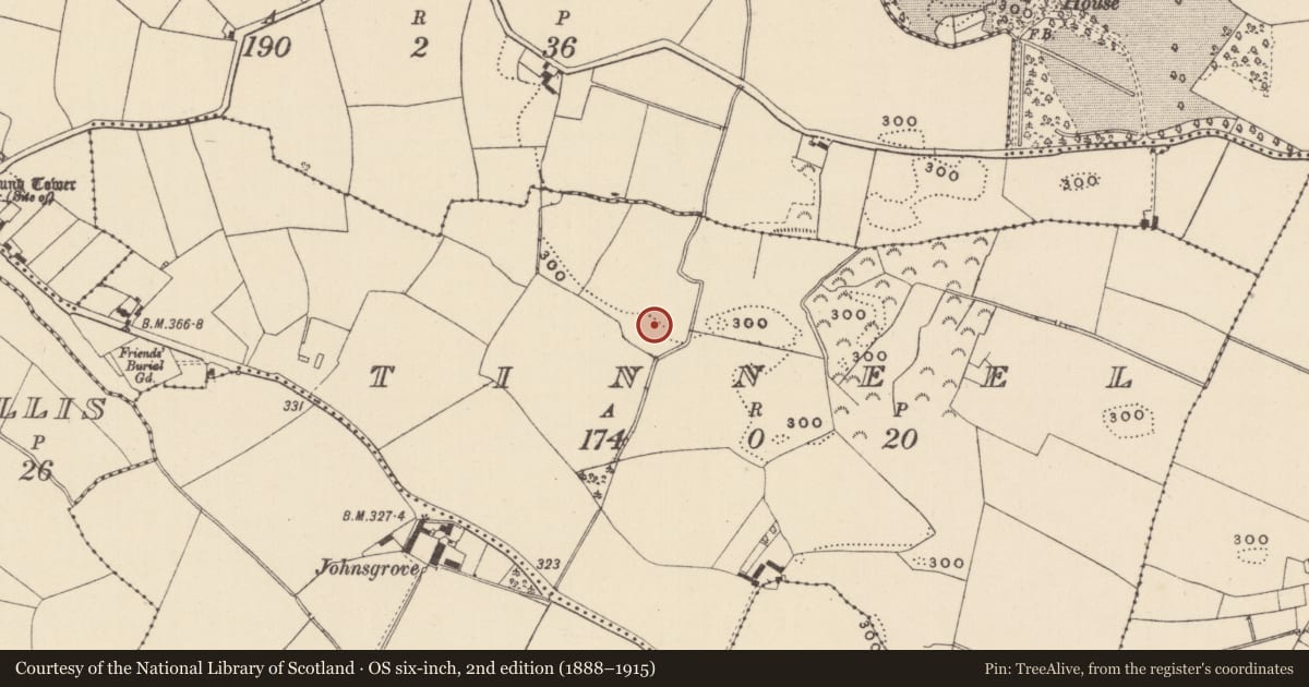 Ordnance Survey six-inch map, 2nd edition (1888–1915) covering the location of Enclosure, Tinneel, County Laois, with a pin at the register's coordinates