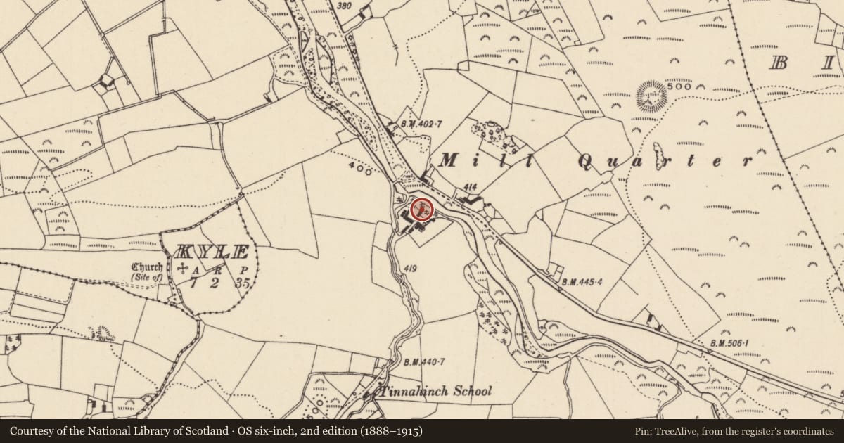 Ordnance Survey six-inch map, 2nd edition (1888–1915) covering the location of Castle - unclassified, Tinnahinch, County Laois, with a pin at the register's coordinates