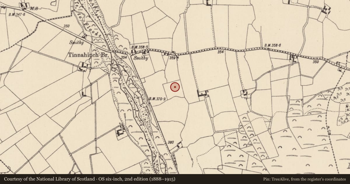 Ordnance Survey six-inch map, 2nd edition (1888–1915) covering the location of Graveyard, Tinnahinch, County Laois, with a pin at the register's coordinates