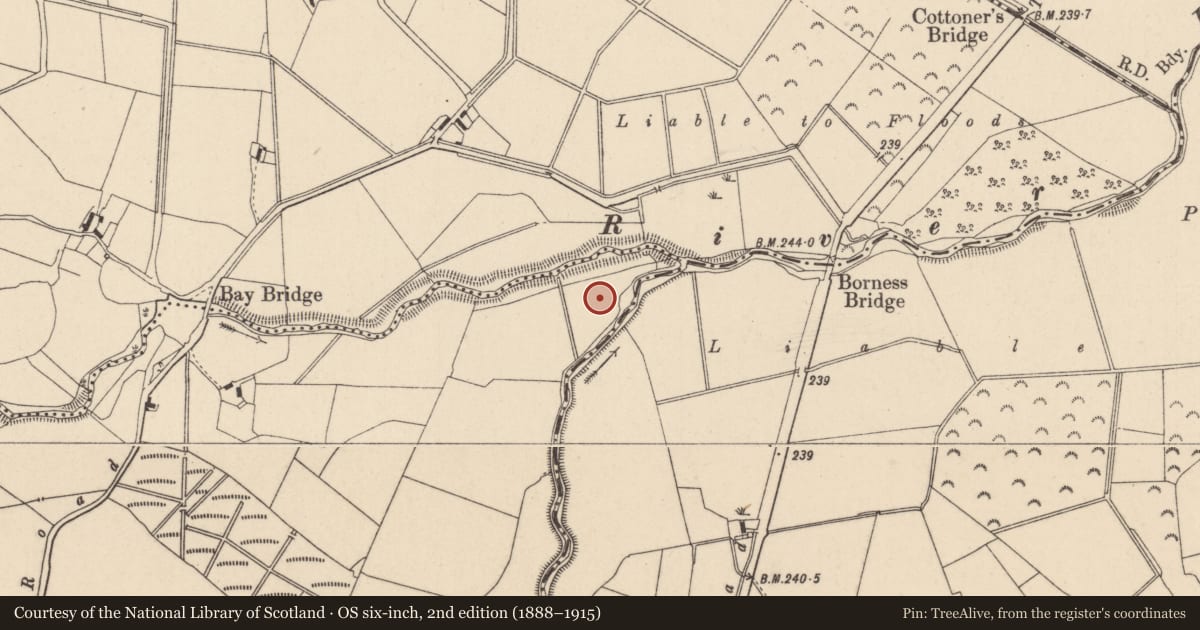 Ordnance Survey six-inch map, 2nd edition (1888–1915) covering the location of Metalworking site, Townparks, County Laois, with a pin at the register's coordinates
