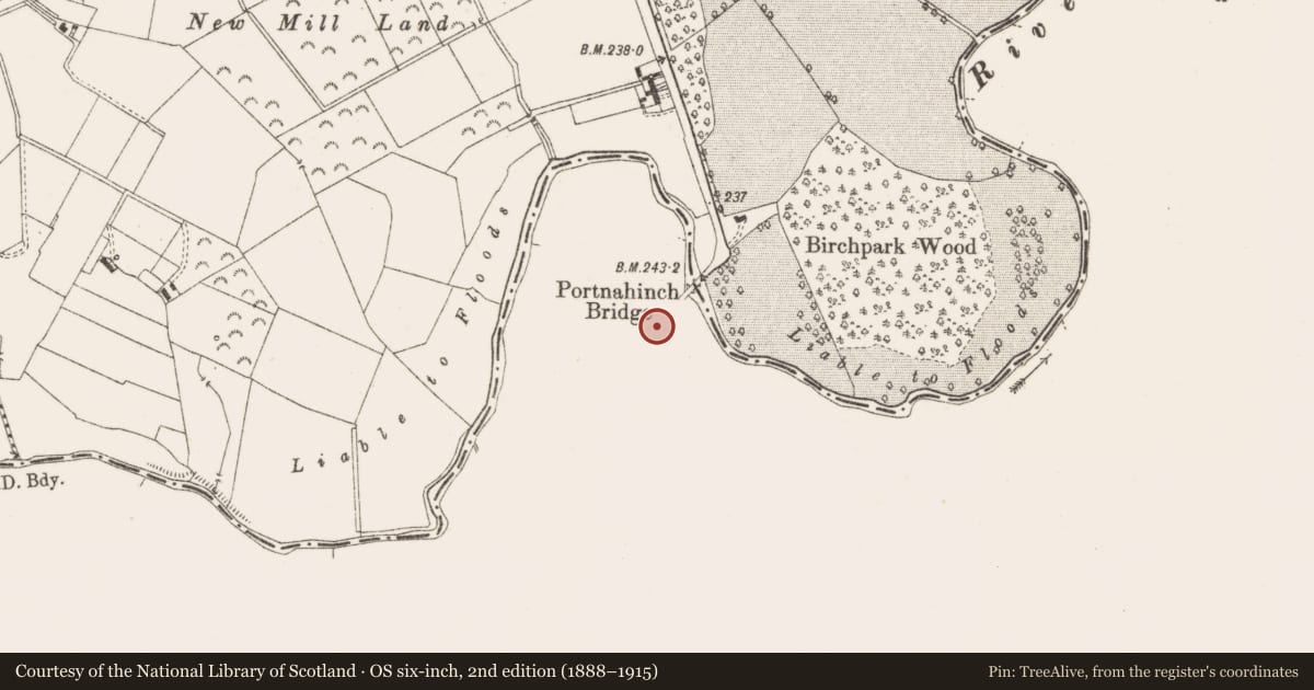 Ordnance Survey six-inch map, 2nd edition (1888–1915) covering the location of Church, Portnahinch, County Laois, with a pin at the register's coordinates
