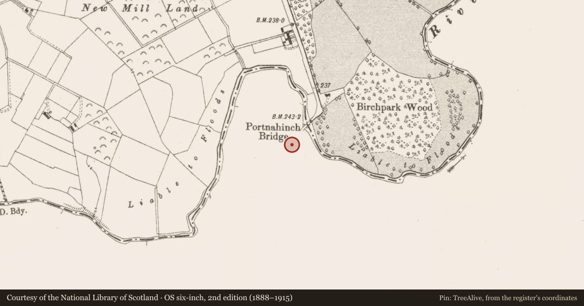 Ordnance Survey six-inch map, 2nd edition (1888–1915) covering the location of Graveyard, Portnahinch, County Laois, with a pin at the register's coordinates
