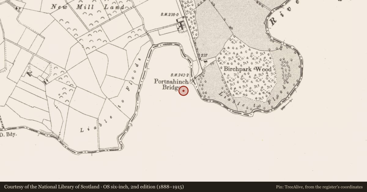 Ordnance Survey six-inch map, 2nd edition (1888–1915) covering the location of Sheela-na-gig, Portnahinch, County Laois, with a pin at the register's coordinates