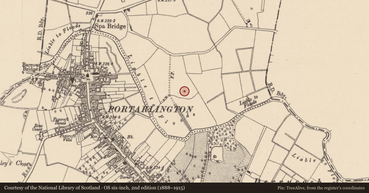 Ordnance Survey six-inch map, 2nd edition (1888–1915) covering the location of Ringfort - rath, Droughill, County Laois, with a pin at the register's coordinates