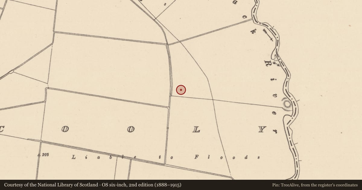 Ordnance Survey six-inch map, 2nd edition (1888–1915) covering the location of Mound, Inchacooly, County Laois, with a pin at the register's coordinates