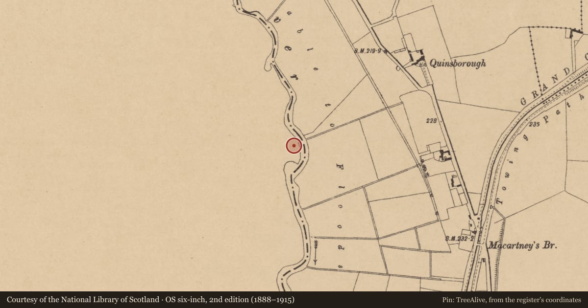 Ordnance Survey six-inch map, 2nd edition (1888–1915) covering the location of Mound, Inchacooly, County Laois, with a pin at the register's coordinates