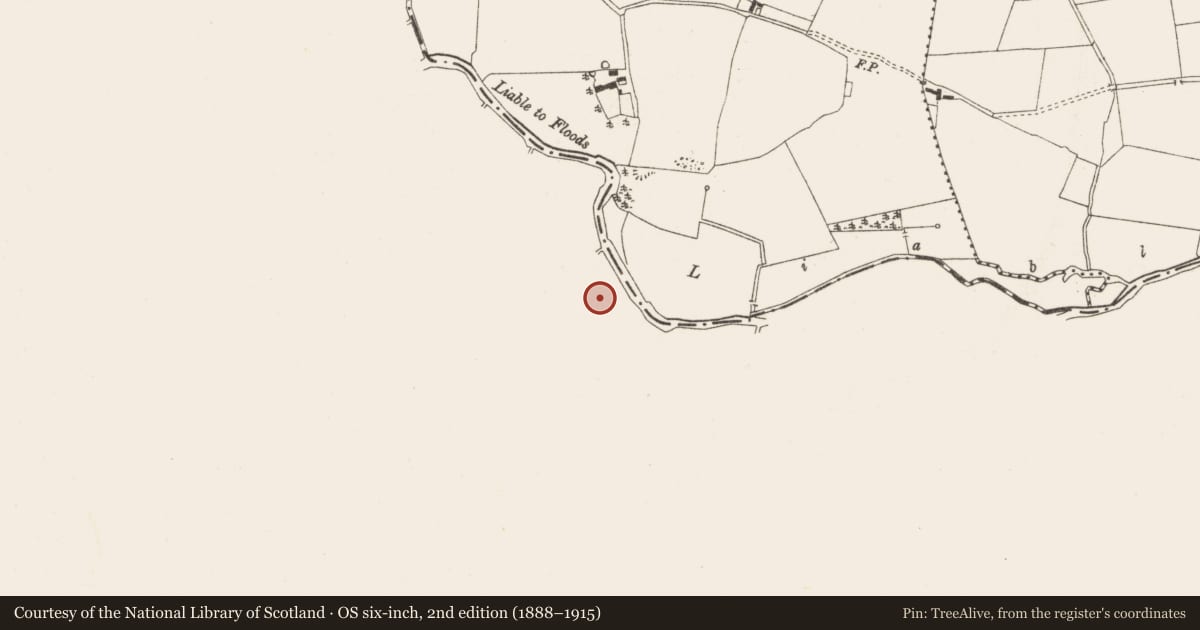 Ordnance Survey six-inch map, 2nd edition (1888–1915) covering the location of Castle - motte and bailey, Cooltedery, County Laois, with a pin at the register's coordinates