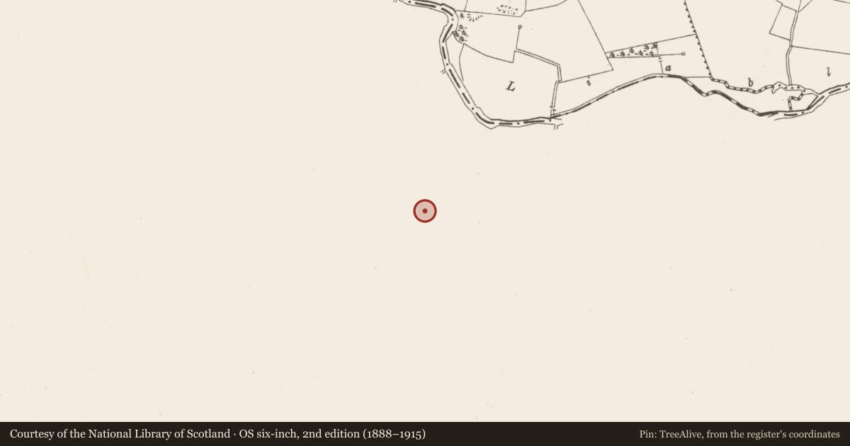 Ordnance Survey six-inch map, 2nd edition (1888–1915) covering the location of Enclosure, Cooltedery, County Laois, with a pin at the register's coordinates