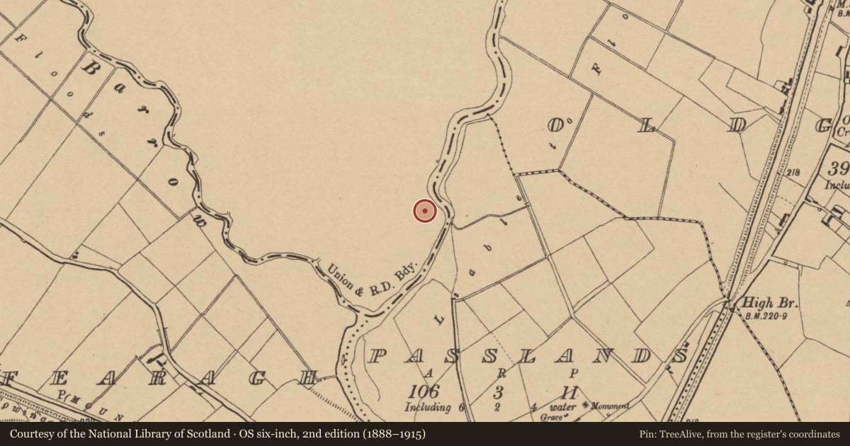 Ordnance Survey six-inch map, 2nd edition (1888–1915) covering the location of Ringfort - rath, Inchacooly, County Laois, with a pin at the register's coordinates