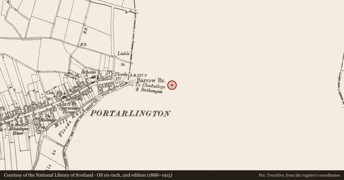 Ordnance Survey six-inch map, 2nd edition (1888–1915) covering the location of Historic town, Cooltedery, County Laois, with a pin at the register's coordinates