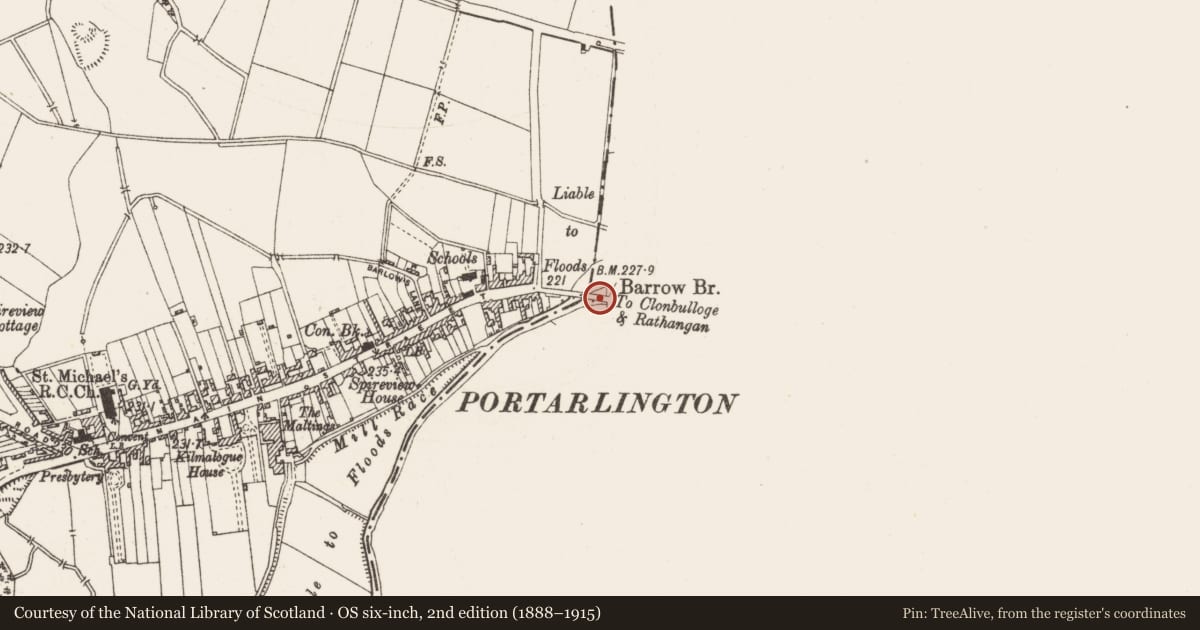 Ordnance Survey six-inch map, 2nd edition (1888–1915) covering the location of Bridge, Cooltedery, County Laois, with a pin at the register's coordinates