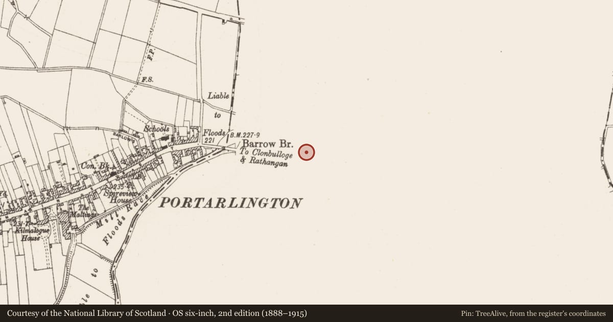 Ordnance Survey six-inch map, 2nd edition (1888–1915) covering the location of Market-house, Cooltedery, County Laois, with a pin at the register's coordinates