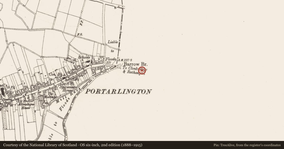 Ordnance Survey six-inch map, 2nd edition (1888–1915) covering the location of Church, Cooltedery, County Laois, with a pin at the register's coordinates