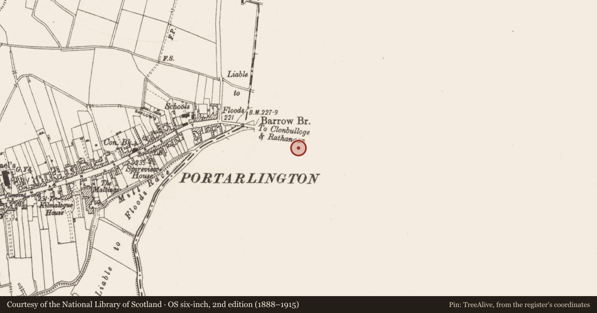 Ordnance Survey six-inch map, 2nd edition (1888–1915) covering the location of Graveyard, Cooltedery, County Laois, with a pin at the register's coordinates