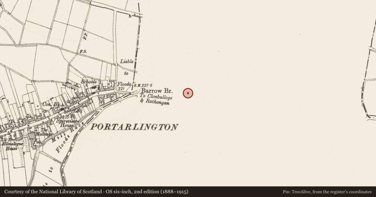 Ordnance Survey six-inch map, 2nd edition (1888–1915) covering the location of Church, Cooltedery, County Laois, with a pin at the register's coordinates