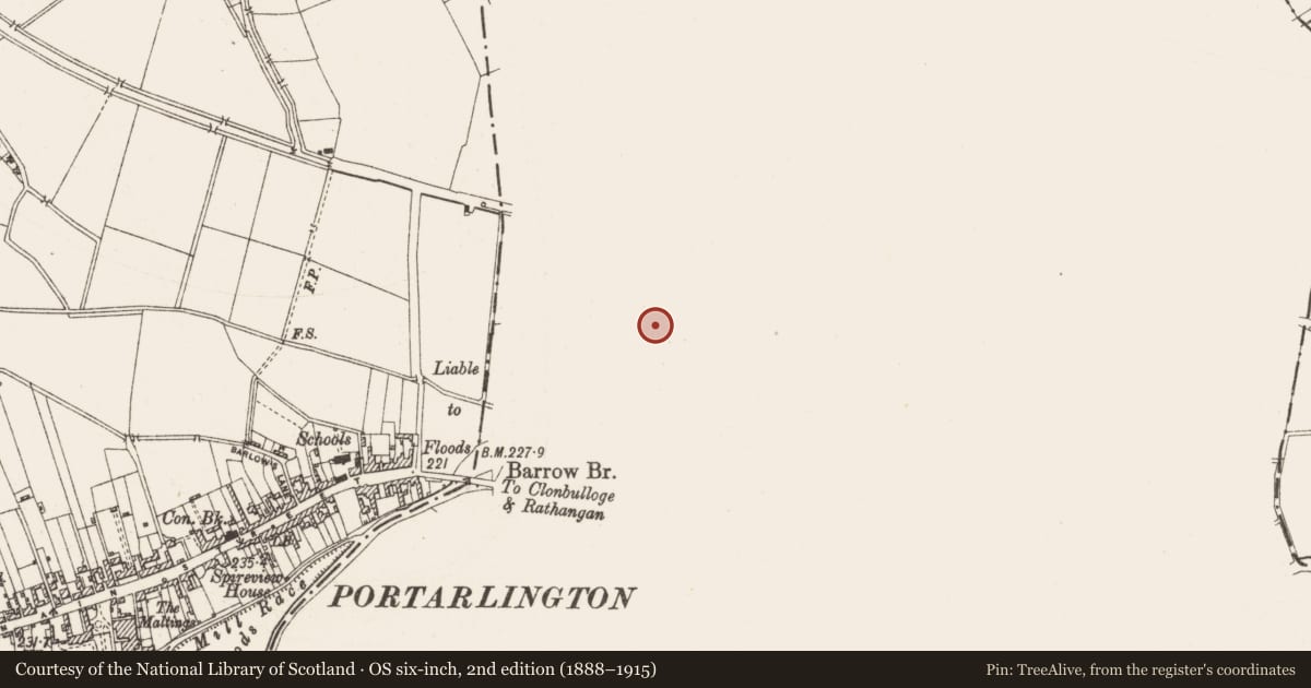 Ordnance Survey six-inch map, 2nd edition (1888–1915) covering the location of Bridge, Cooltedery, County Laois, with a pin at the register's coordinates