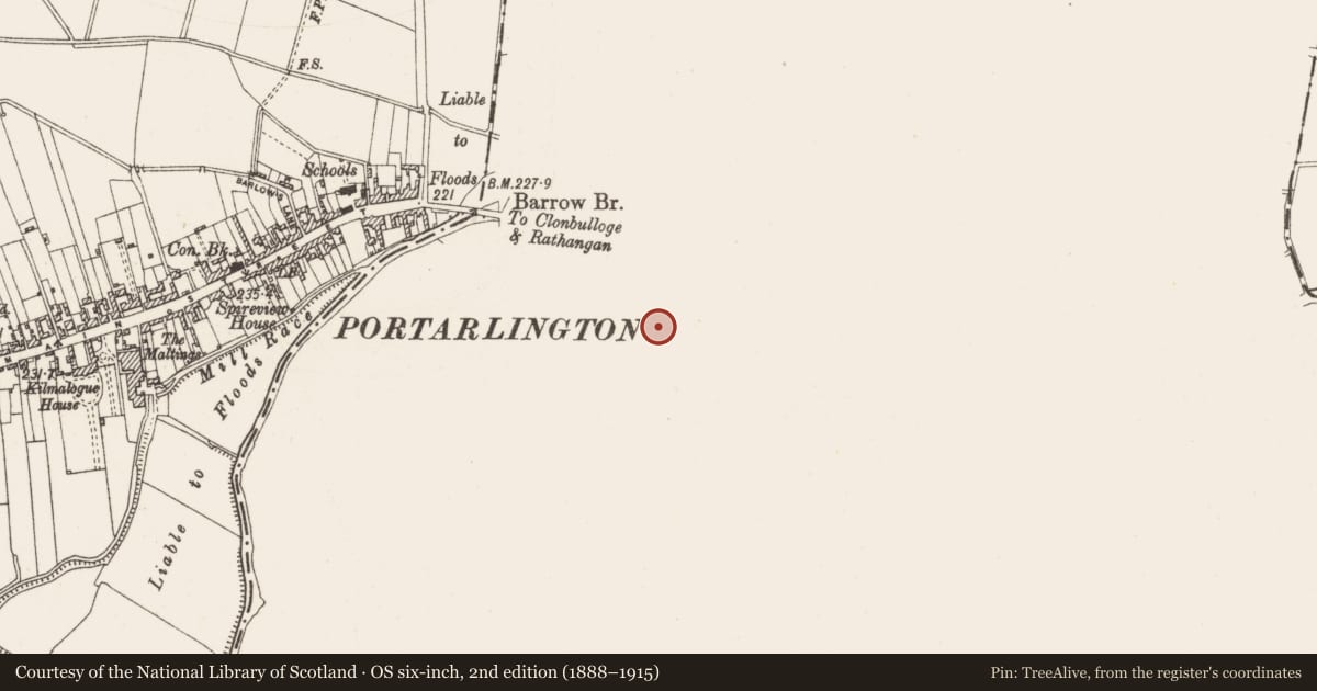 Ordnance Survey six-inch map, 2nd edition (1888–1915) covering the location of Bridge, Cooltedery, County Laois, with a pin at the register's coordinates