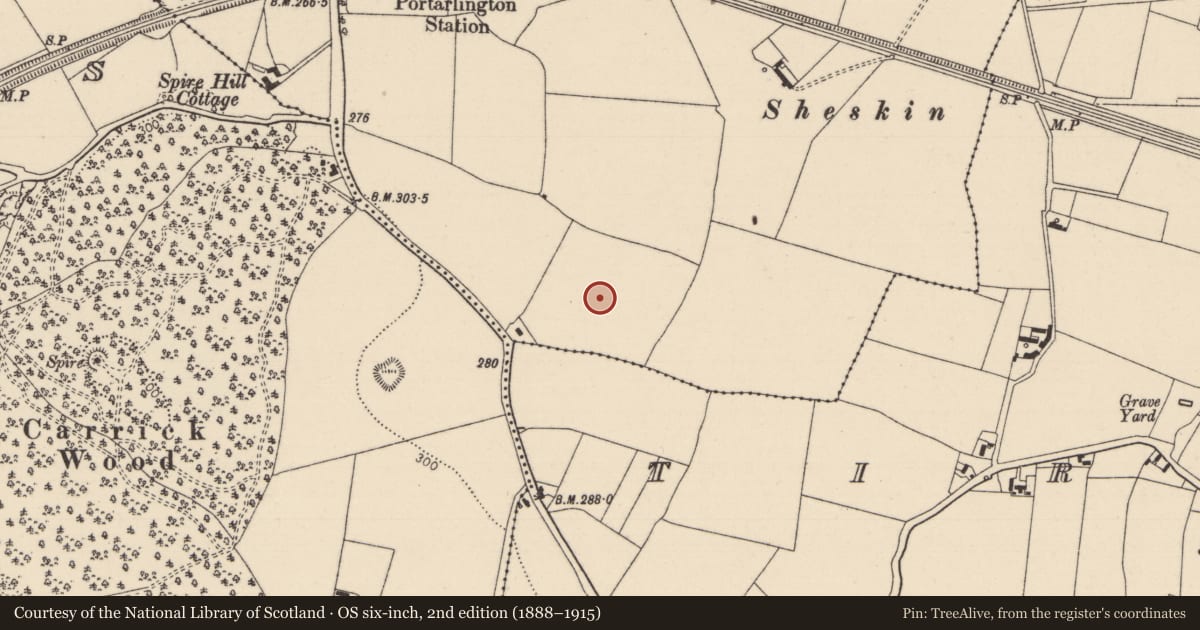 Ordnance Survey six-inch map, 2nd edition (1888–1915) covering the location of Ringfort - unclassified, Cooltedery, County Laois, with a pin at the register's coordinates