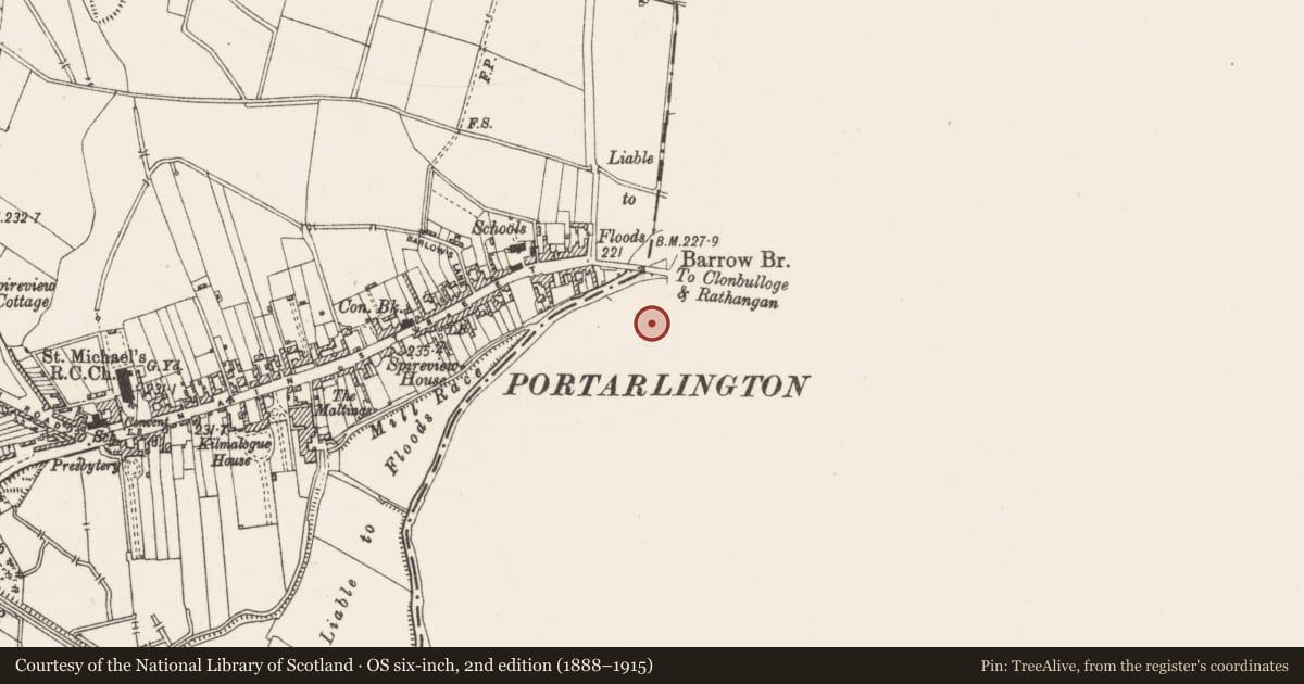 Ordnance Survey six-inch map, 2nd edition (1888–1915) covering the location of Excavation - miscellaneous, Cooltedery, County Laois, with a pin at the register's coordinates