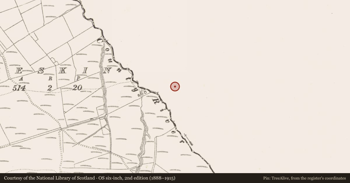Ordnance Survey six-inch map, 2nd edition (1888–1915) covering the location of Megalithic tomb - unclassified, Killinaparson, County Laois, with a pin at the register's coordinates