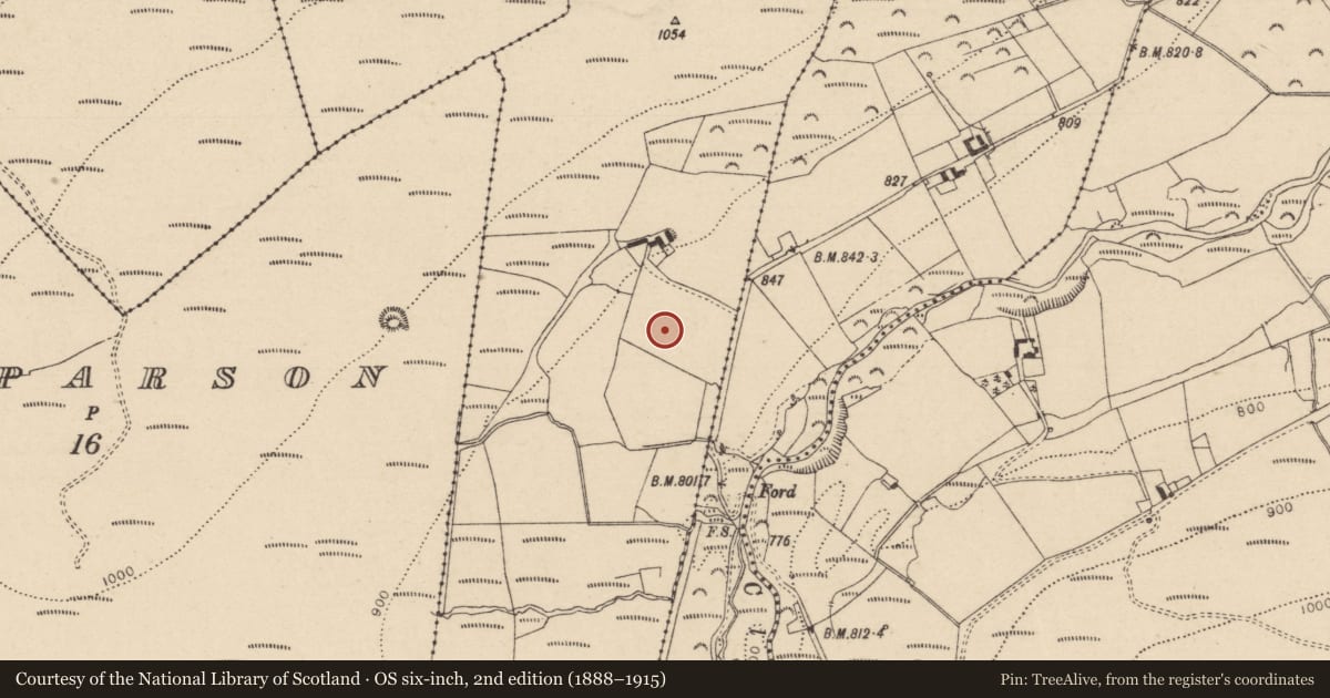 Ordnance Survey six-inch map, 2nd edition (1888–1915) covering the location of Enclosure, Castlecuffe, County Laois, with a pin at the register's coordinates