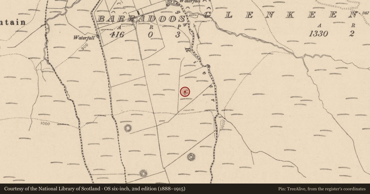 Ordnance Survey six-inch map, 2nd edition (1888–1915) covering the location of Enclosure, Barradoos, County Laois, with a pin at the register's coordinates