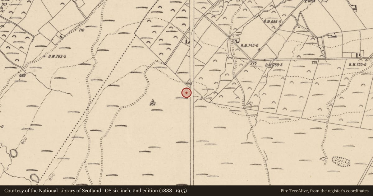 Ordnance Survey six-inch map, 2nd edition (1888–1915) covering the location of Enclosure, Tinnahinch, County Laois, with a pin at the register's coordinates