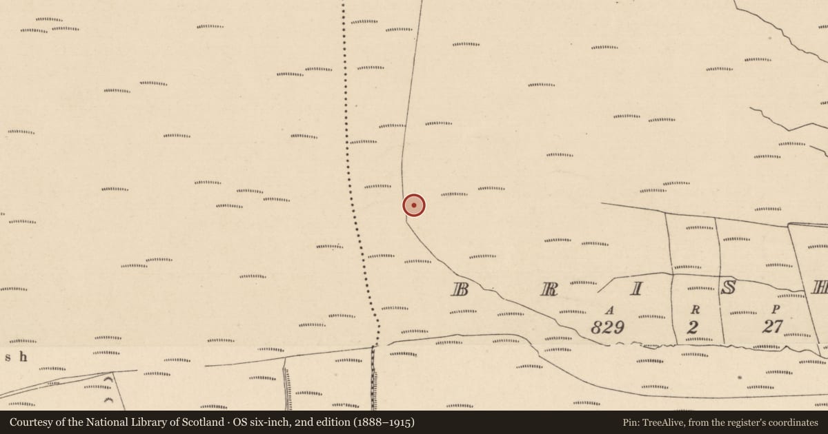 Ordnance Survey six-inch map, 2nd edition (1888–1915) covering the location of Enclosure, Brisha, County Laois, with a pin at the register's coordinates