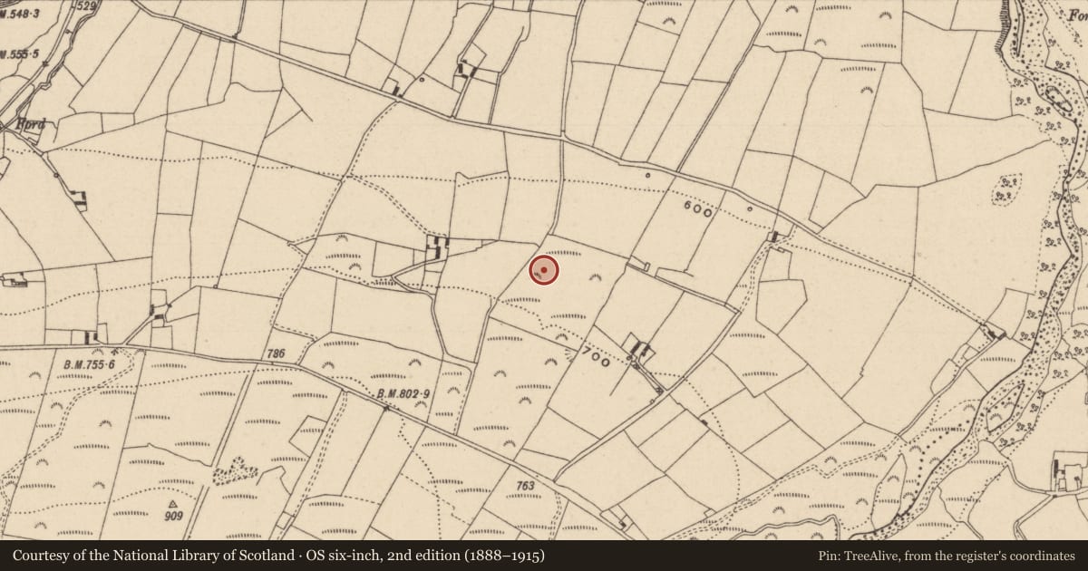 Ordnance Survey six-inch map, 2nd edition (1888–1915) covering the location of Earthwork, Tinnahinch, County Laois, with a pin at the register's coordinates
