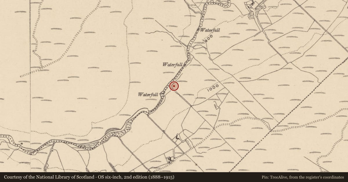 Ordnance Survey six-inch map, 2nd edition (1888–1915) covering the location of Enclosure, Cones, County Laois, with a pin at the register's coordinates