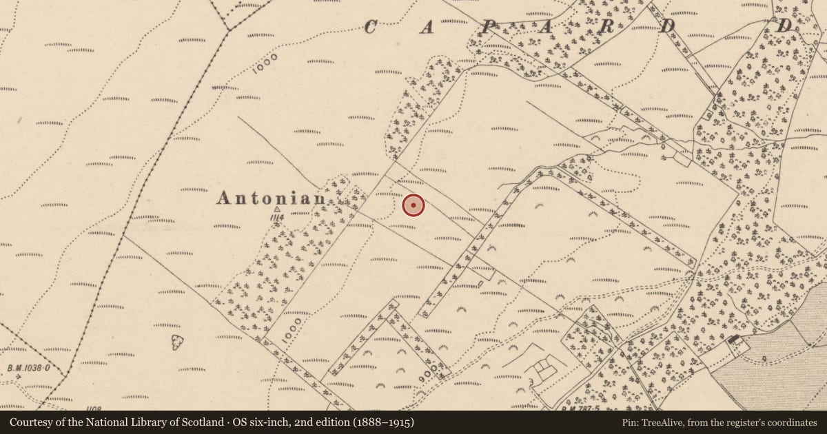 Ordnance Survey six-inch map, 2nd edition (1888–1915) covering the location of Barrow - bowl-barrow, Capard, County Laois, with a pin at the register's coordinates